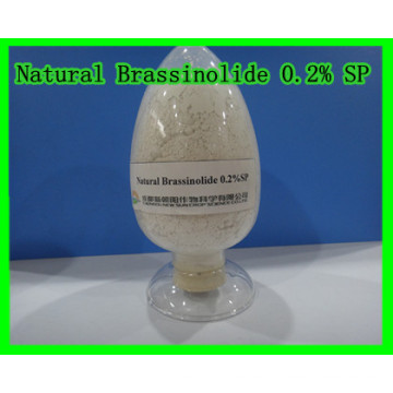 Natural Brassinolide 0.2% Sp-Plant Growth Regulator